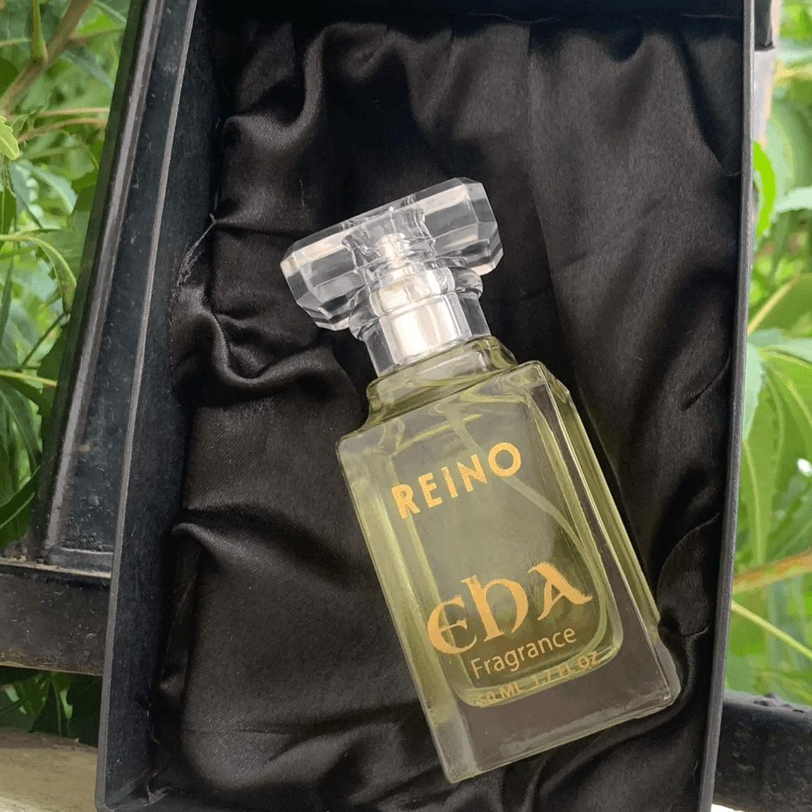 Reino 50-ml